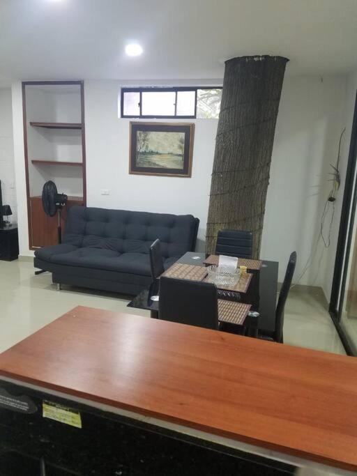 Apartment Confort En Zona Ecologica, Loft En Pilarica 2